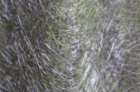 Fenstanton fibreglass roof work